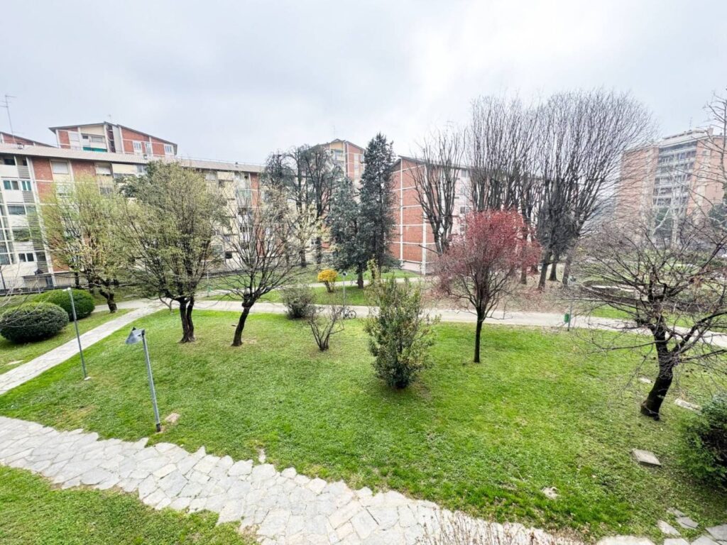 Area Verde Palazzo